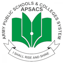  APS School
